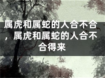属虎和属蛇的人合不合，属虎和属蛇的人合不合得来