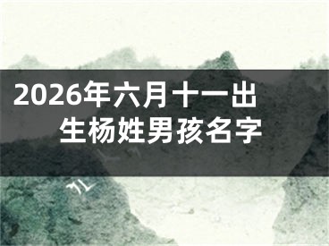 2026年六月十一出生杨姓男孩名字
