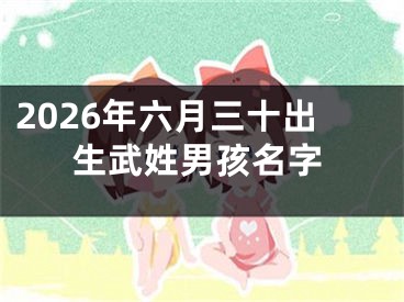 2026年六月三十出生武姓男孩名字