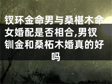钗环金命男与桑椹木命女婚配是否相合,男钗钏金和桑柘木婚真的好吗