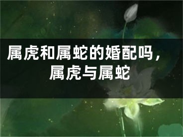属虎和属蛇的婚配吗，属虎与属蛇
