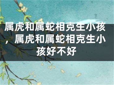 属虎和属蛇相克生小孩，属虎和属蛇相克生小孩好不好