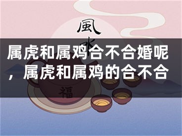 属虎和属鸡合不合婚呢，属虎和属鸡的合不合