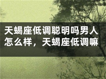 天蝎座低调聪明吗男人怎么样，天蝎座低调嘛