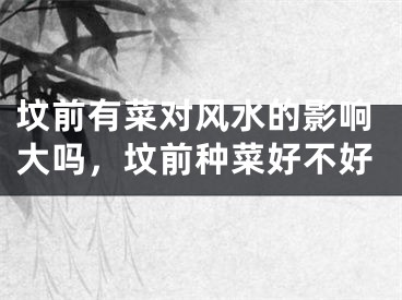 坟前有菜对风水的影响大吗，坟前种菜好不好