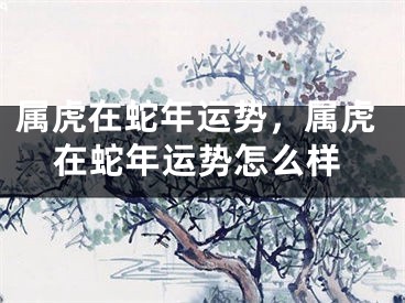 属虎在蛇年运势，属虎在蛇年运势怎么样