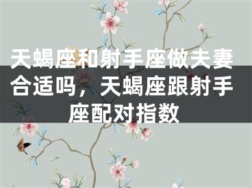 天蝎座和射手座做夫妻合适吗，天蝎座跟射手座配对指数