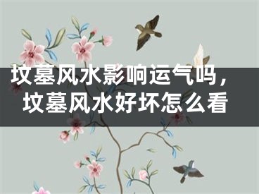 坟墓风水影响运气吗，坟墓风水好坏怎么看