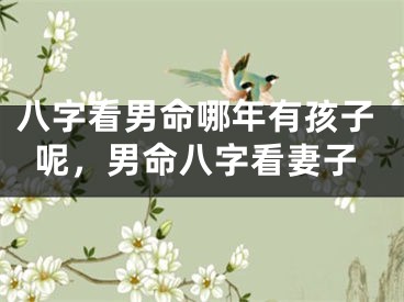 八字看男命哪年有孩子呢，男命八字看妻子