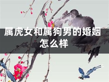 属虎女和属狗男的婚姻怎么样