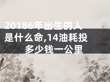 20186年出生的人是什么命,14油耗投多少钱一公里
