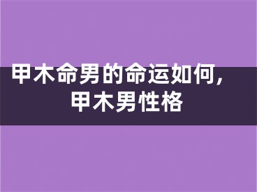 甲木命男的命运如何,甲木男性格