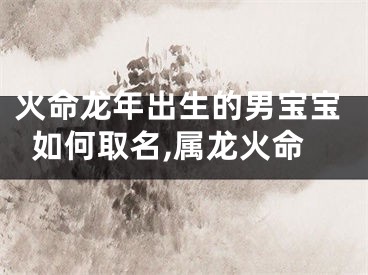 火命龙年出生的男宝宝如何取名,属龙火命
