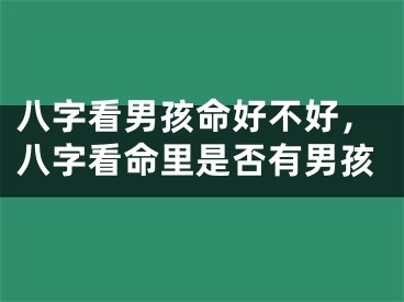 八字看男孩命好不好，八字看命里是否有男孩
