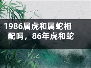 1986属虎和属蛇相配吗，86年虎和蛇