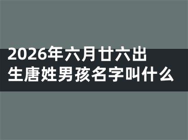 2026年六月廿六出生唐姓男孩名字叫什么