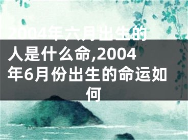 2004年六月出生的人是什么命,2004年6月份出生的命运如何