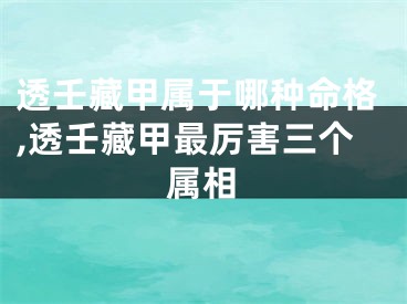 透壬藏甲属于哪种命格,透壬藏甲最厉害三个属相
