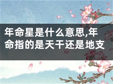 年命星是什么意思,年命指的是天干还是地支