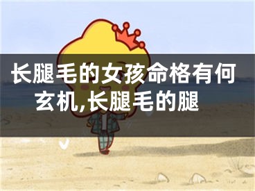长腿毛的女孩命格有何玄机,长腿毛的腿