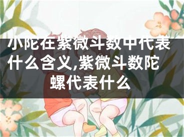 小陀在紫微斗数中代表什么含义,紫微斗数陀螺代表什么