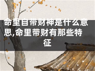 命里自带财神是什么意思,命里带财有那些特征