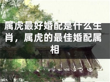 属虎最好婚配是什么生肖,属虎的最佳婚配属相