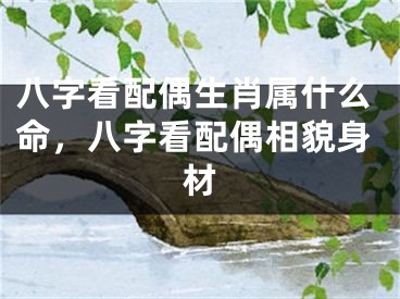 八字看配偶生肖属什么命,八字看配偶相貌身材