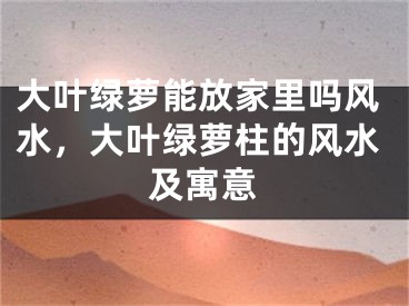大叶绿萝能放家里吗风水,大叶绿萝柱的风水及寓意