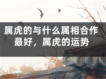 属虎的与什么属相合作最好，属虎的运势