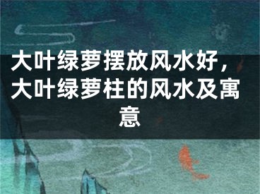 大叶绿萝摆放风水好,大叶绿萝柱的风水及寓意