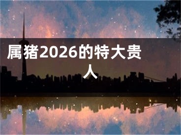 属猪2026的特大贵人
