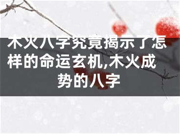 木火八字究竟揭示了怎样的命运玄机,木火成势的八字