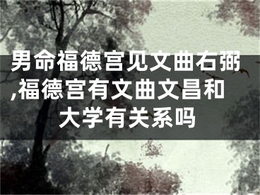 男命福德宫见文曲右弼,福德宫有文曲文昌和大学有关系吗