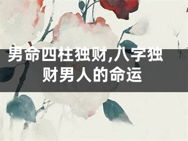 男命四柱独财,八字独财男人的命运