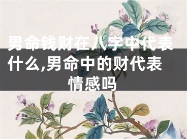 男命钱财在八字中代表什么,男命中的财代表情感吗
