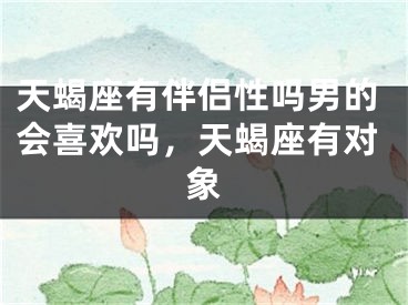 天蝎座有伴侣性吗男的会喜欢吗，天蝎座有对象