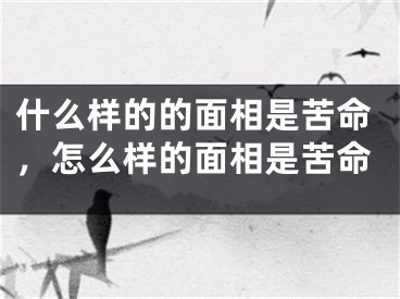 什么样的的面相是苦命,怎么样的面相是苦命