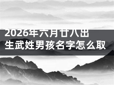 2026年六月廿八出生武姓男孩名字怎么取