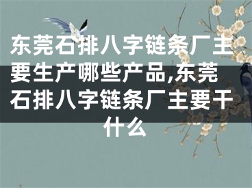 东莞石排八字链条厂主要生产哪些产品,东莞石排八字链条厂主要干什么