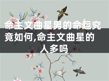 命主文曲星男的命运究竟如何,命主文曲星的人多吗