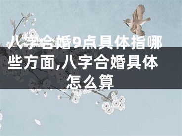 八字合婚9点具体指哪些方面,八字合婚具体怎么算