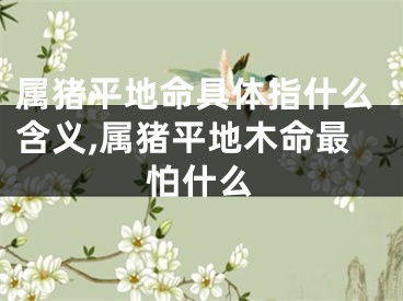 属猪平地命具体指什么含义,属猪平地木命最怕什么