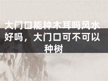 大门口能种木耳吗风水好吗,大门口可不可以种树