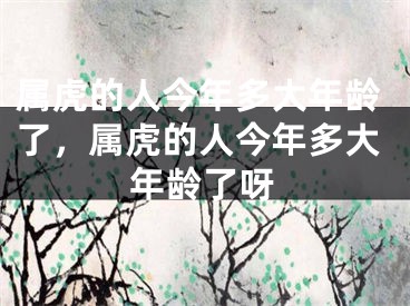 属虎的人今年多大年龄了，属虎的人今年多大年龄了呀