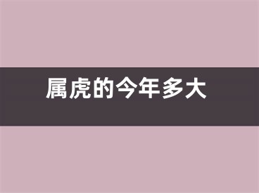 属虎的今年多大