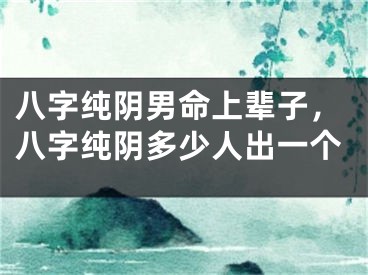 八字纯阴男命上辈子,八字纯阴多少人出一个