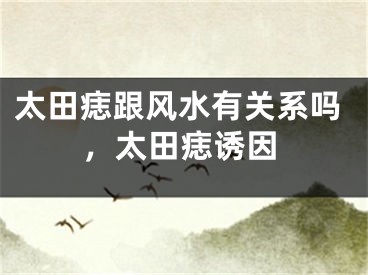 太田痣跟风水有关系吗,太田痣诱因