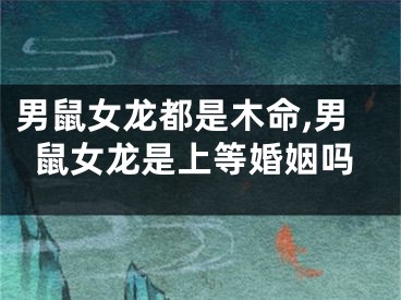 男鼠女龙都是木命,男鼠女龙是上等婚姻吗