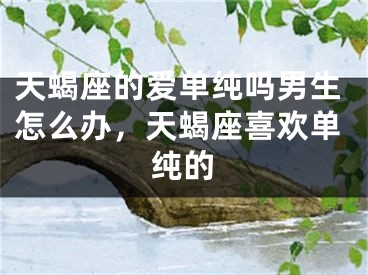 天蝎座的爱单纯吗男生怎么办，天蝎座喜欢单纯的